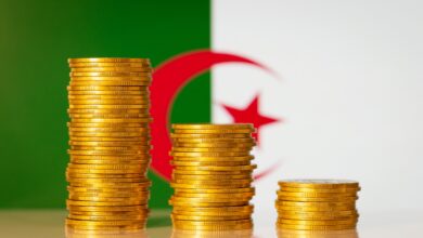 three stacks golden coins forming downward graph background algeria flag financial crisis negative statistics economic problems republic algeria