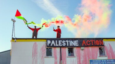 palestine action uk