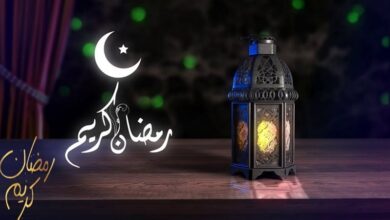 مسلسلات رمضان 2025.. الجمهور على موعد مع أجزاء جديدة من أعمالهم المفضلة